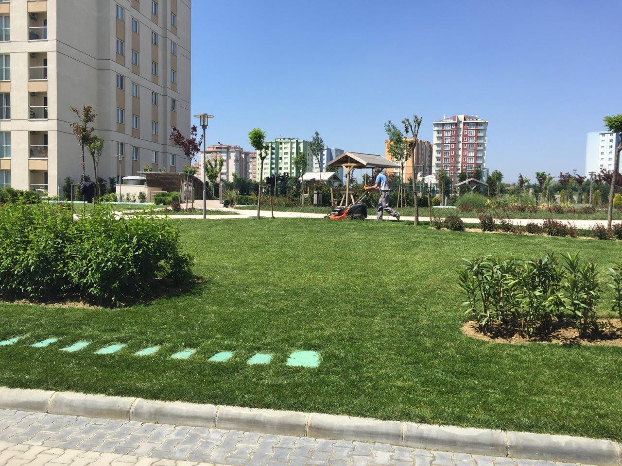 peysaj28