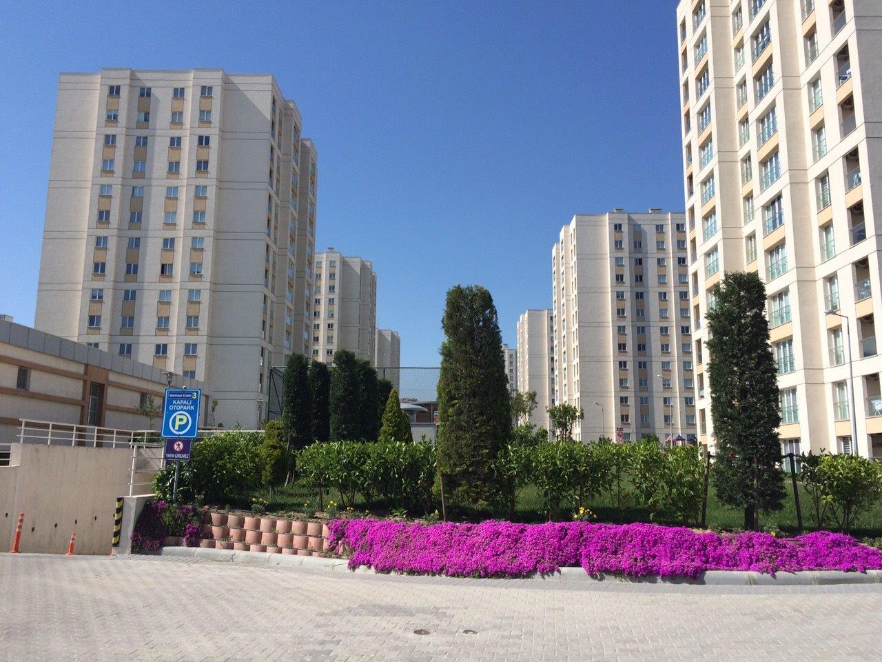 genel